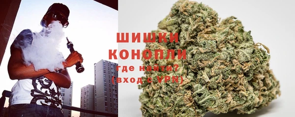 сатива Балабаново